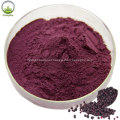 Berry powder maqui berry juice for maqui berry